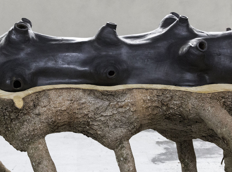 blog_d'arte_le_10_mostre_da_non_perdere_nel_2019_giuseppe_penone_cuneo