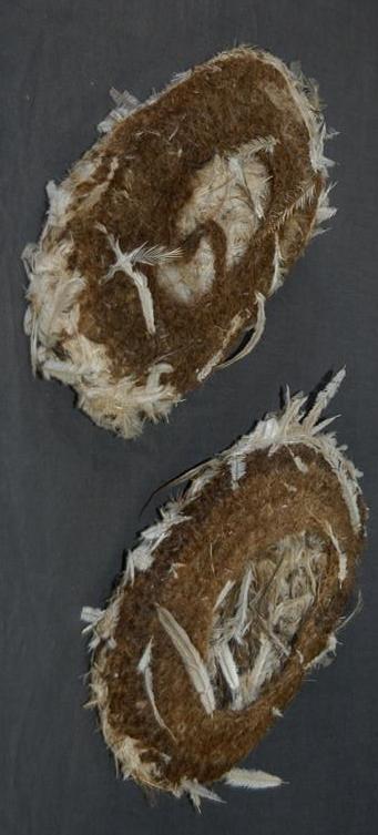 stregoneria-armi-aborigene-blog-arte